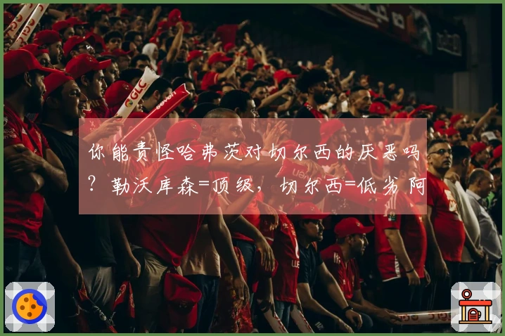 你能责怪哈弗茨对切尔西的厌恶吗？勒沃库森=顶级，切尔西=低劣 阿森纳知名学者